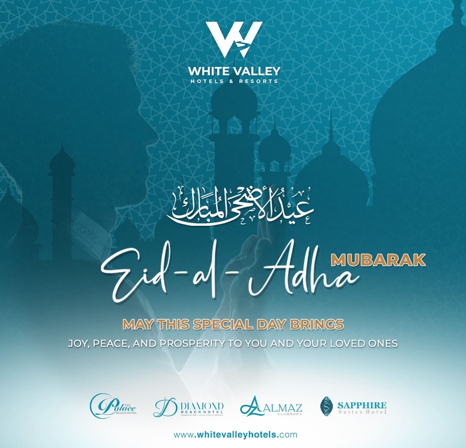 165a3b67-fffa-4545-a154-cfdbf135ab6b